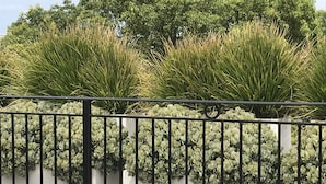 A garden with tall grasses and a metal fence. - Newtown Mews (Newtown)