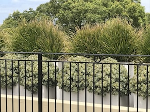 Vista desde la propiedad