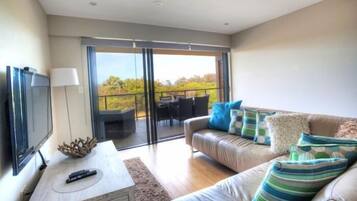 Flat-screen TV, DVD player