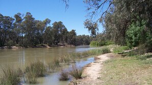 Une rive de rivière bordée d’un sentier de terre, entourée d’arbres et de végétation.