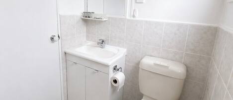 Un baño pequeño y limpio con inodoro, lavabo y espejo.