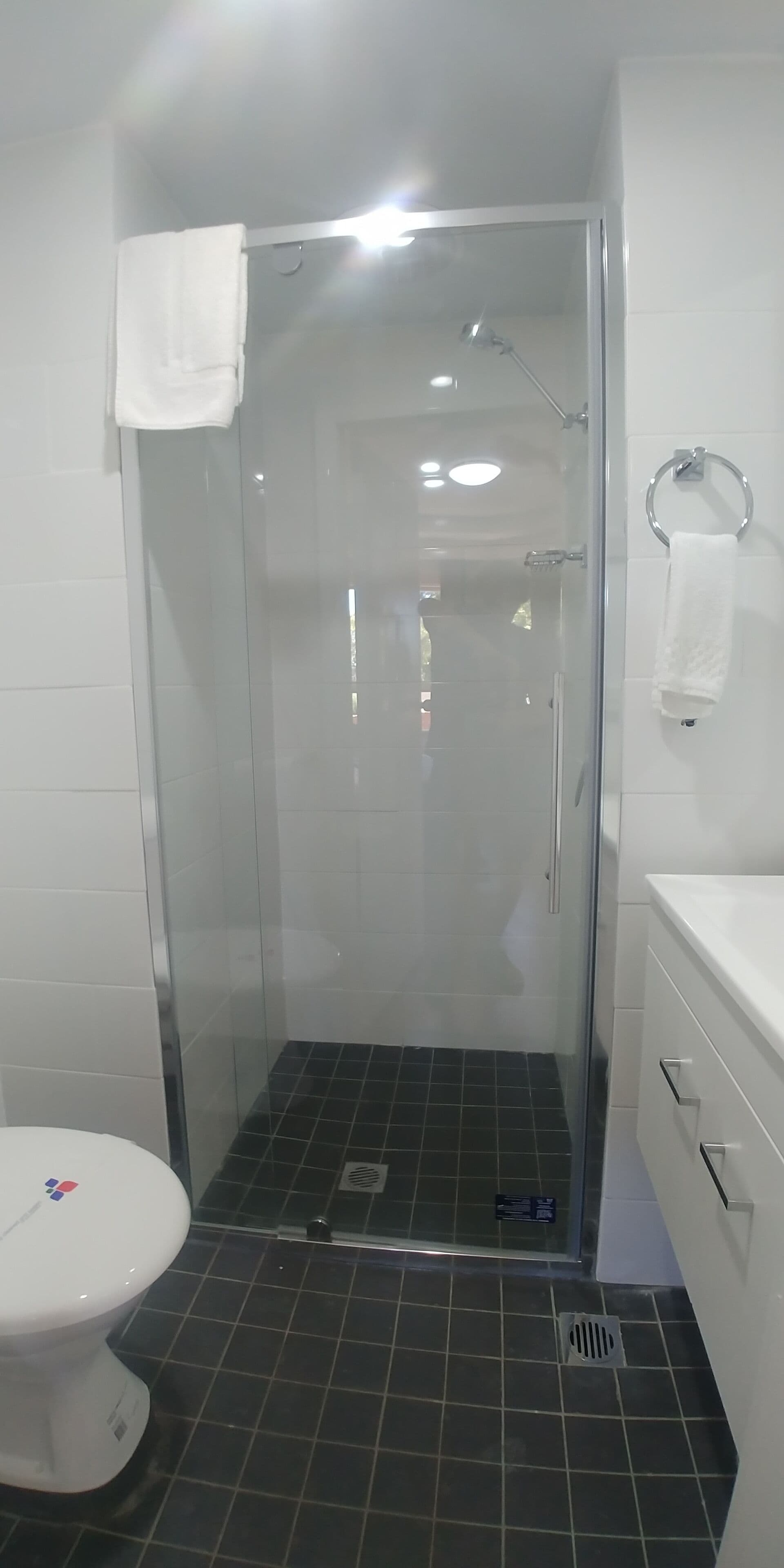 Un baño con ducha envuelta en vidrio, inodoro blanco y lavamanos blanco con argolla para toallas.