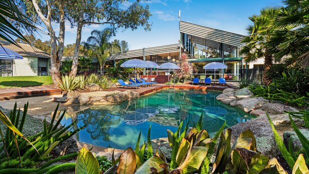Un área de piscina con sillones de descanso y sombrillas, rodeada de plantas tropicales y un edificio moderno.