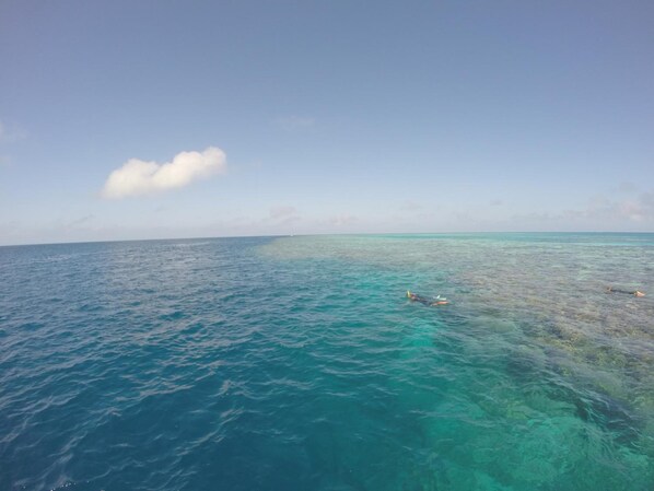 A clear view of the ocean with a person swimming.