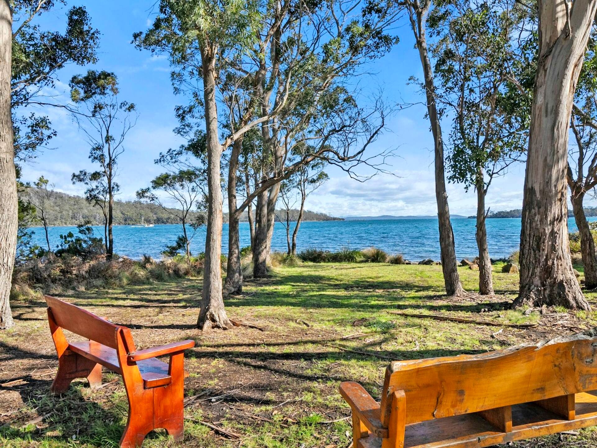 A park with two wooden benches, trees, and a view of a body of water.