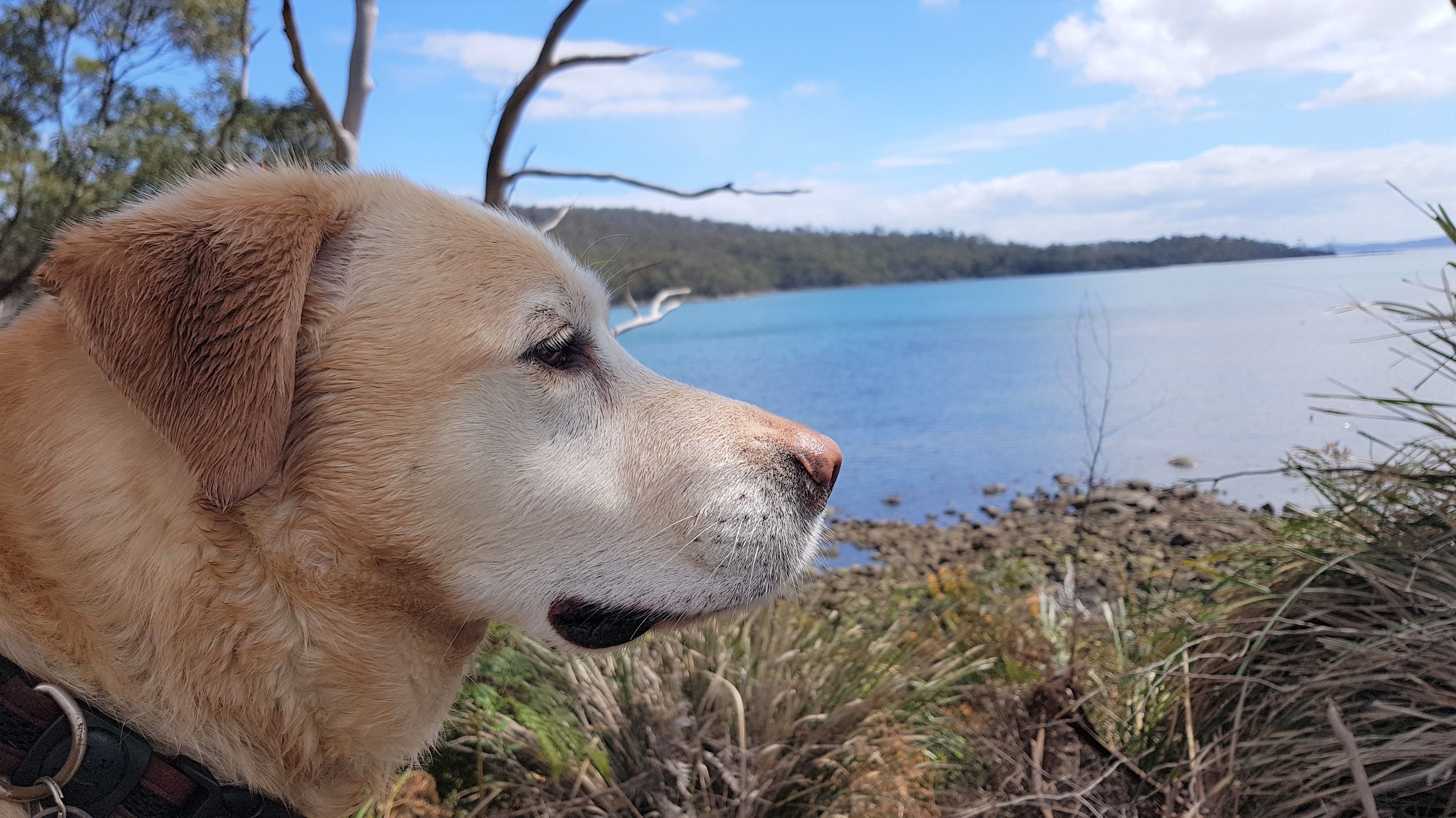 Four Seasons Waterfront Villas — image 27