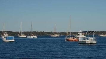 A marina with several boats docked.