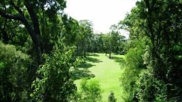 A pathway leading through a lush, green landscape with dense foliage on either side.