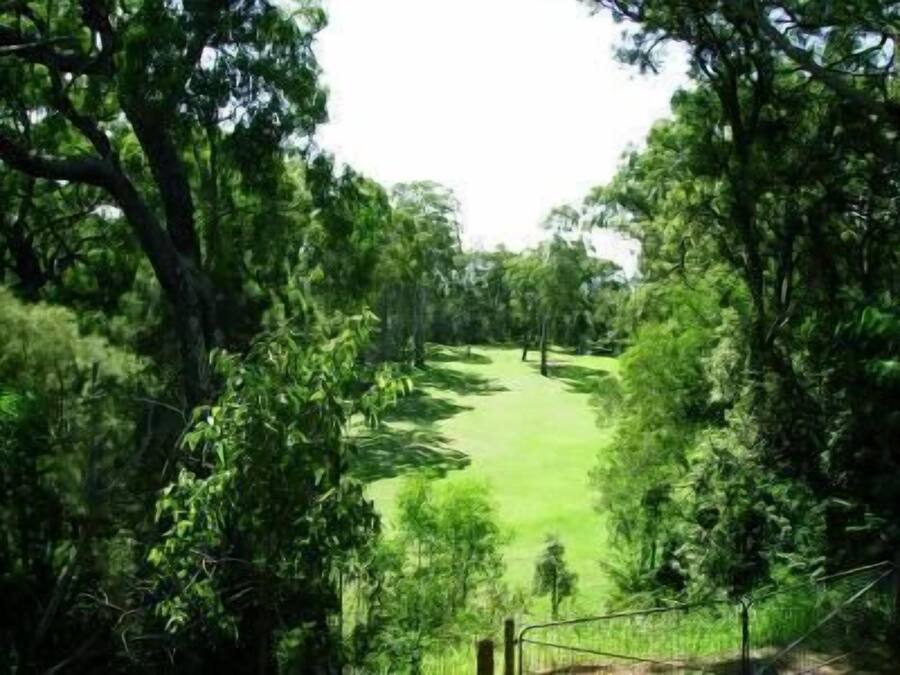 A pathway leading through a lush, green landscape with dense foliage on either side.