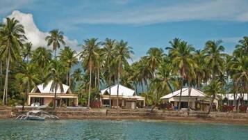 الغوص باستخدام المعدات، كرة طائرة على الشاطئ، ممارسة التجديف/ركوب الكانو