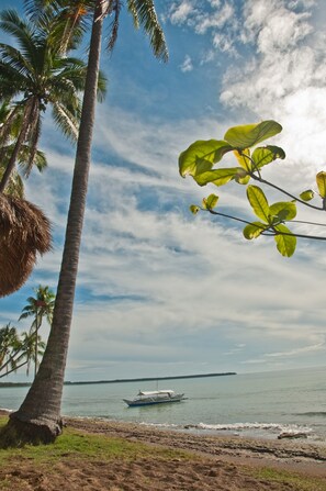 Scuba diving, beach volleyball, rowing - Crystal Paradise Resort, Spa & Winery (Narra)