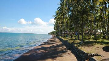 Scuba diving, beach volleyball, rowing