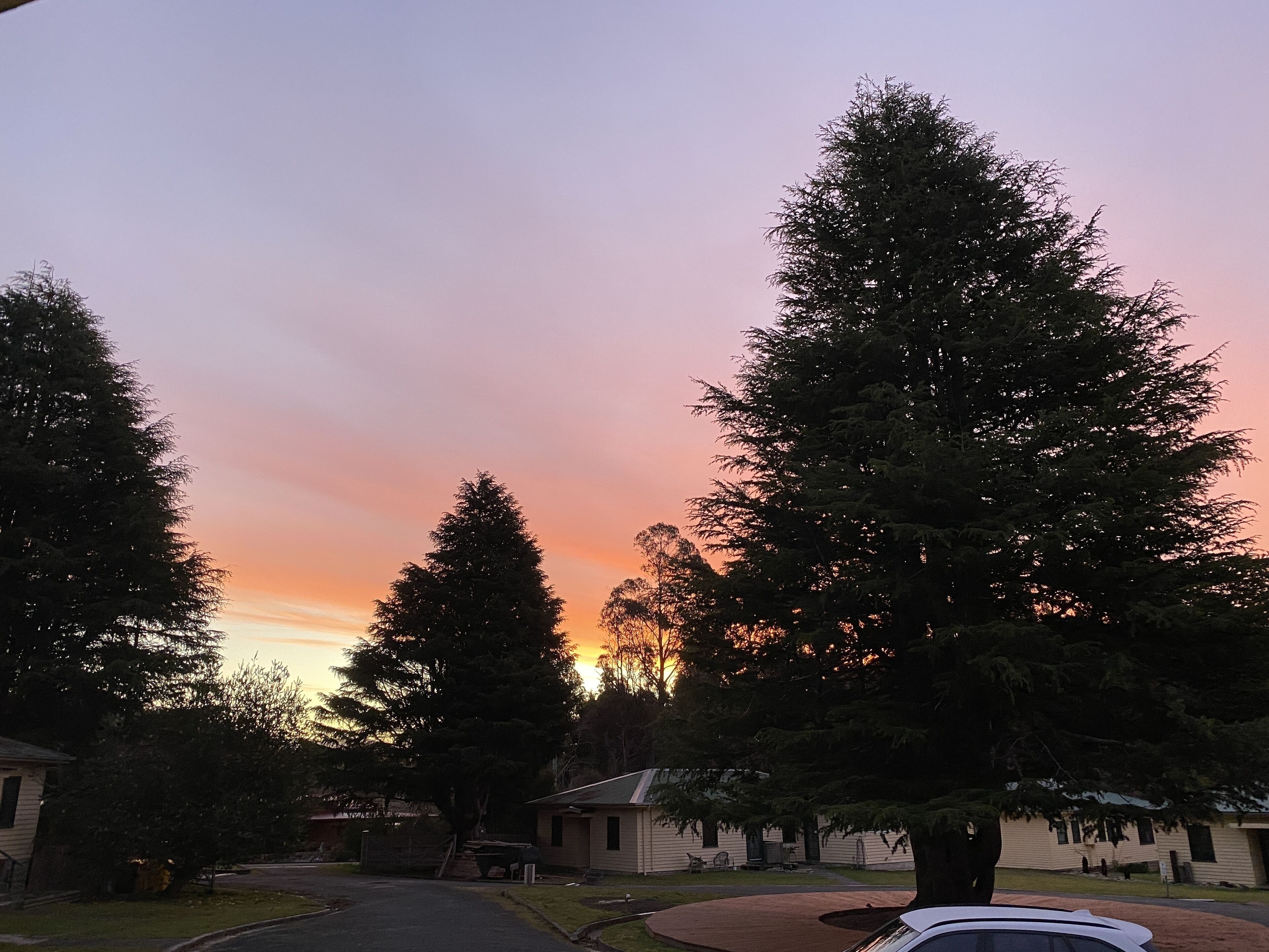 A residential area with houses and large trees, likely a vacation rental or campground.