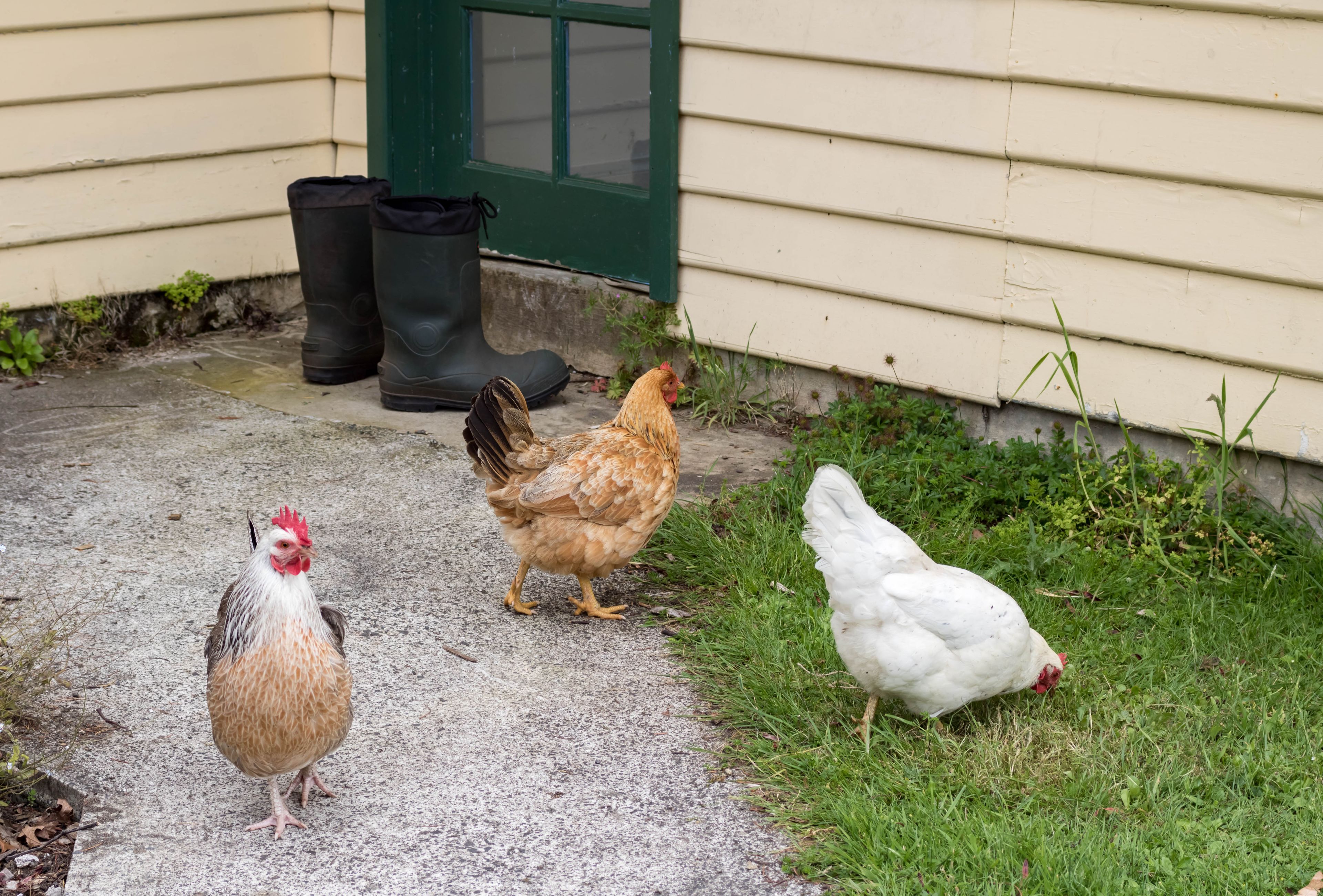 Giants Table and Cottages — image 27