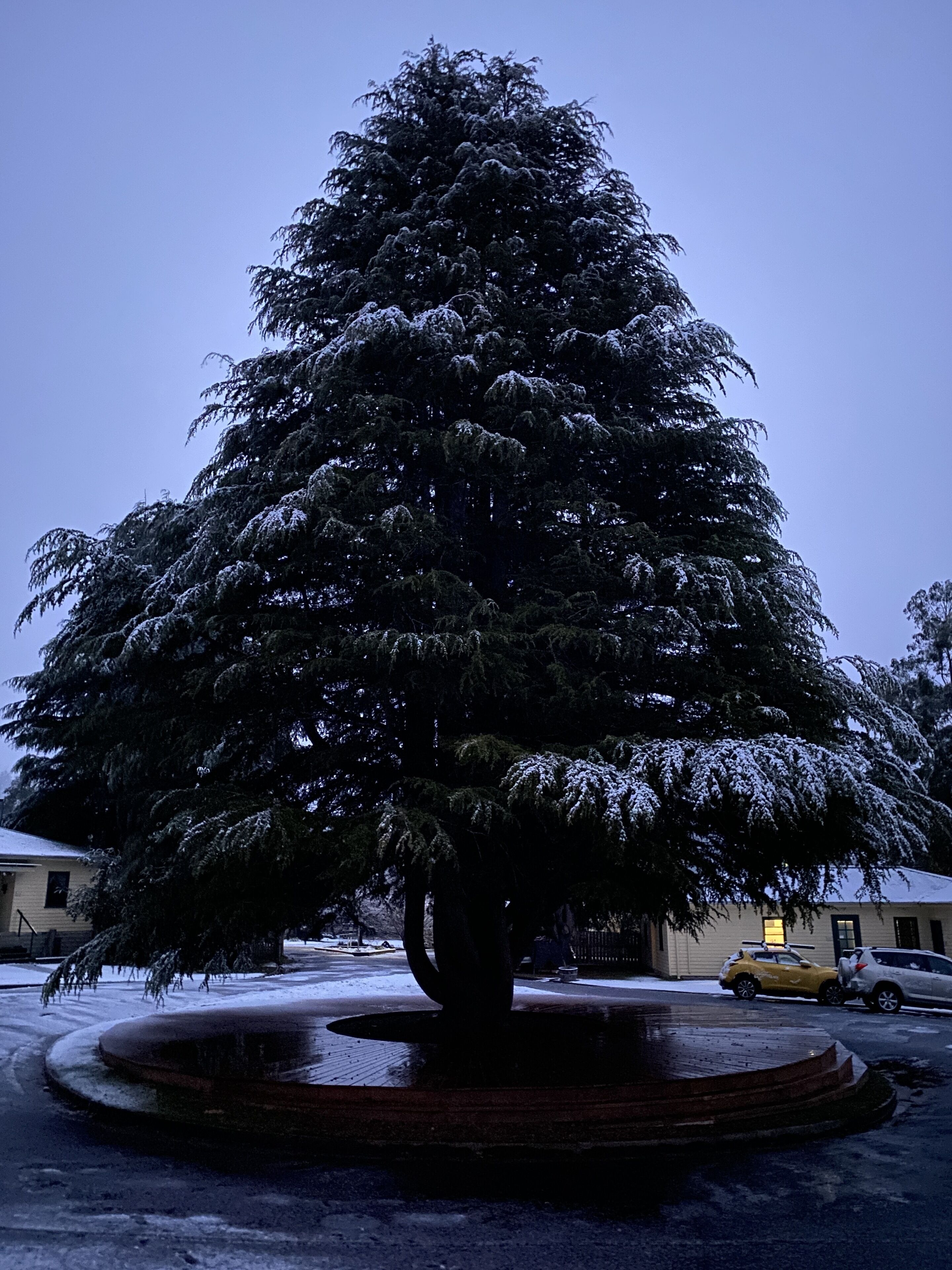 Giants Table and Cottages — image 24