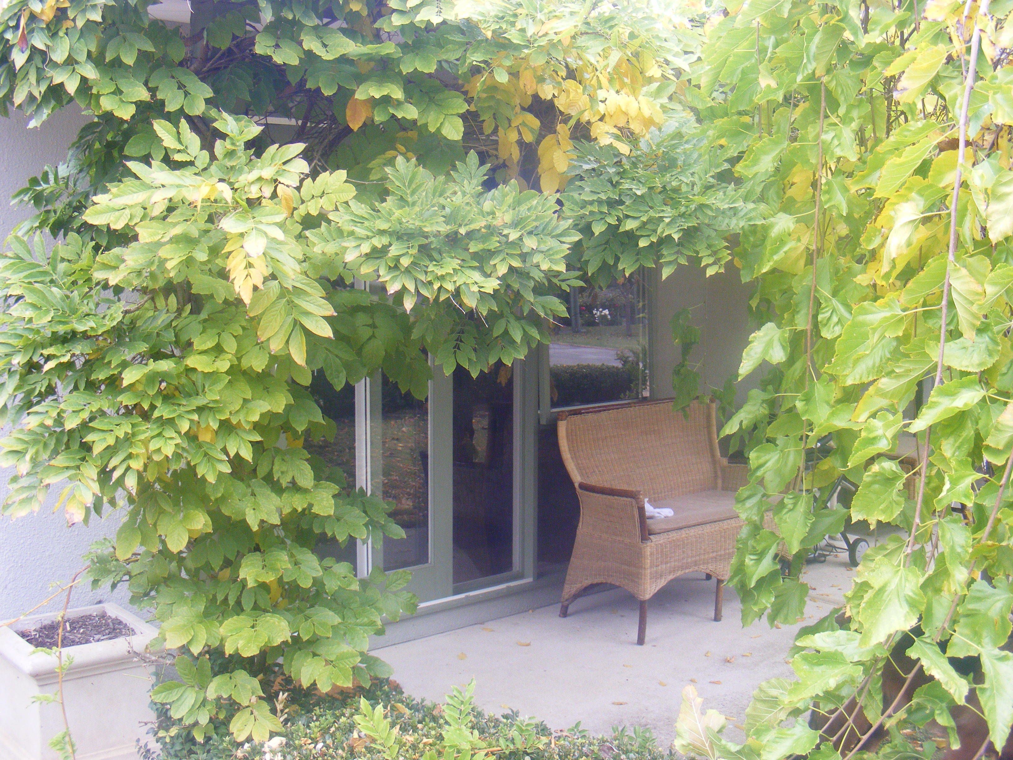 The Tuscan Villa | Terrace/patio