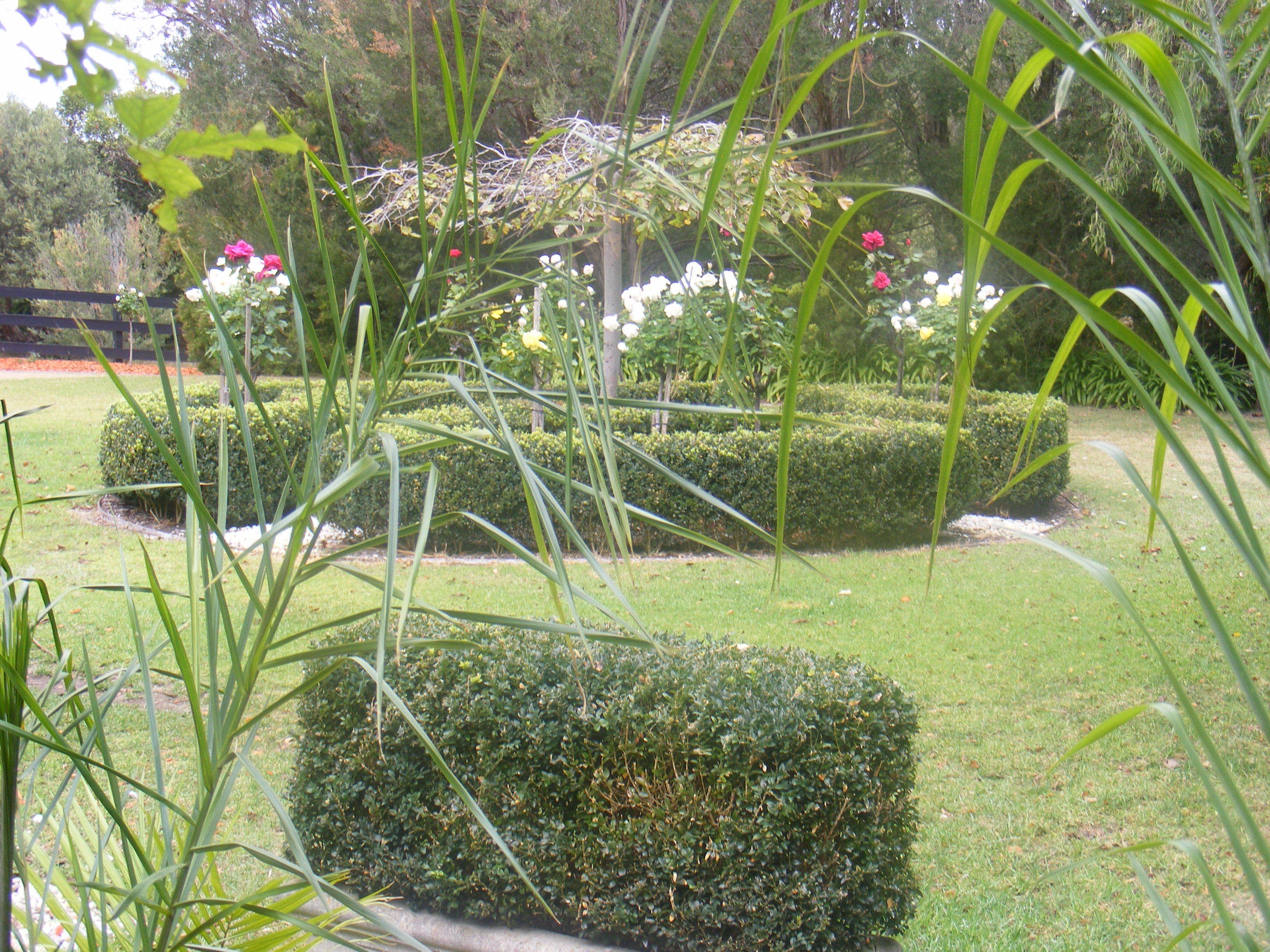 A well-maintained garden with neatly trimmed hedges, a variety of flowering plants, and a bird's nest.
