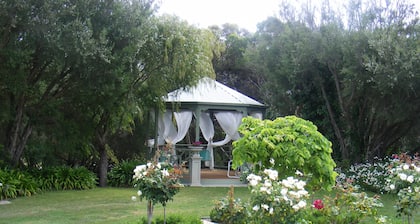 Weeroona