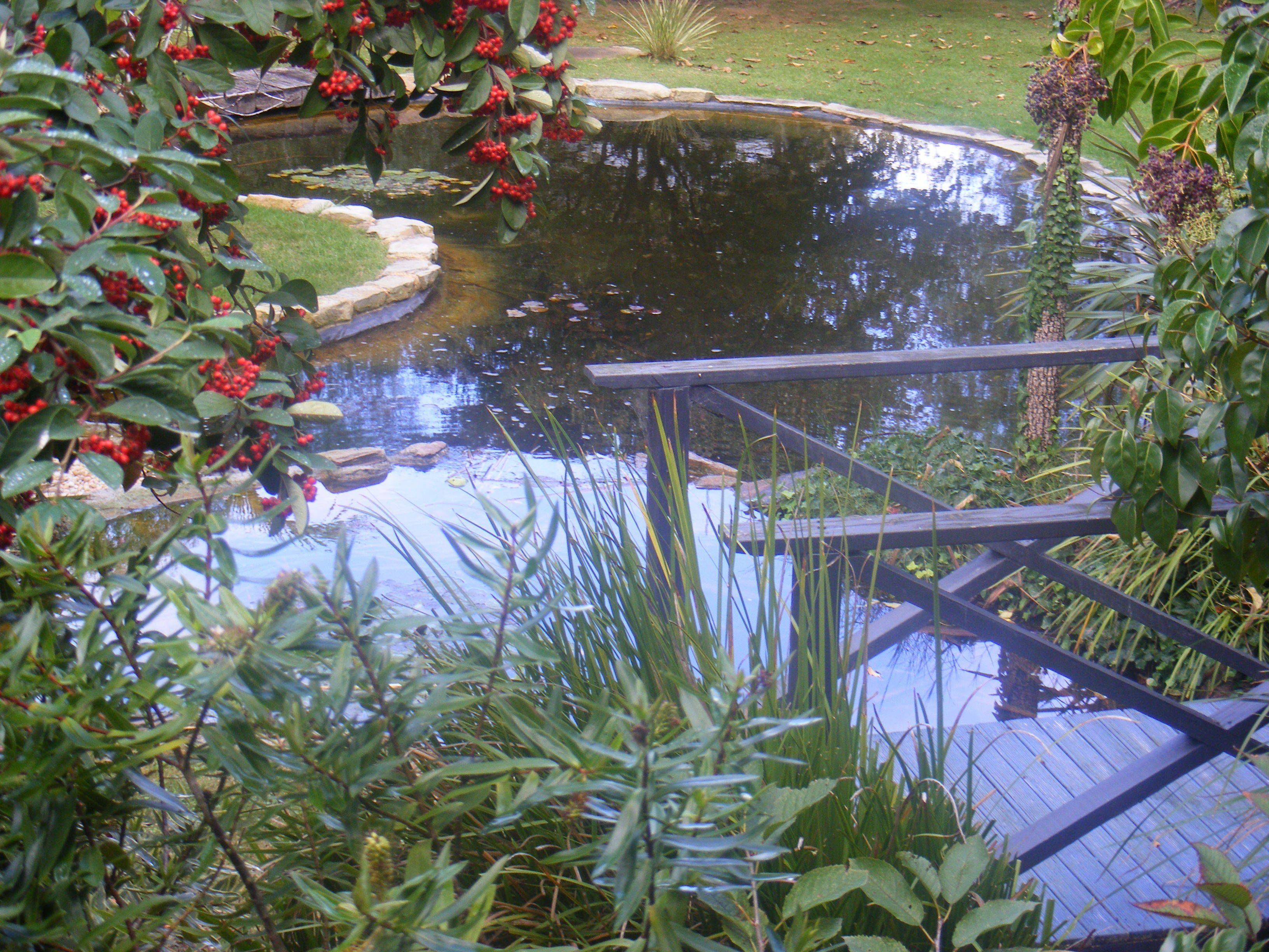 The Egyptian Cottage | Terrace/patio