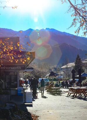 View from property - Village Lake Apartments (Hanmer Springs)