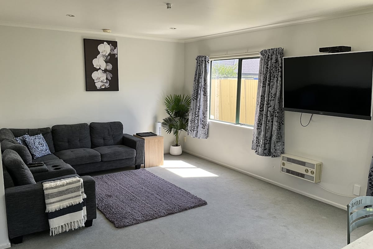 A living room with a dark grey sofa, a flat-screen TV mounted on the wall, a potted plant, and a window with curtains.