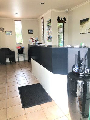 Recepción