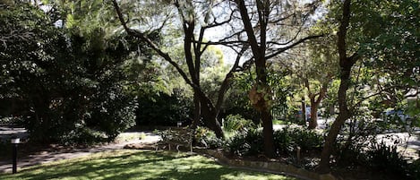 A well-maintained garden with various trees and shrubs, a paved pathway, and a stone border.