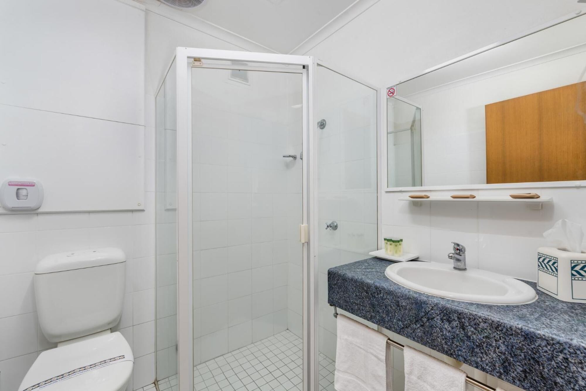 A bathroom with a toilet, a glass-enclosed shower, a sink with a marble countertop, and a mirror with a wooden cabinet above it.