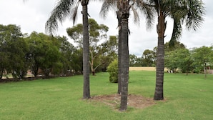 A grassy area with tall palm trees and dense foliage in the background. - Chinchilla Motel (Chinchilla)