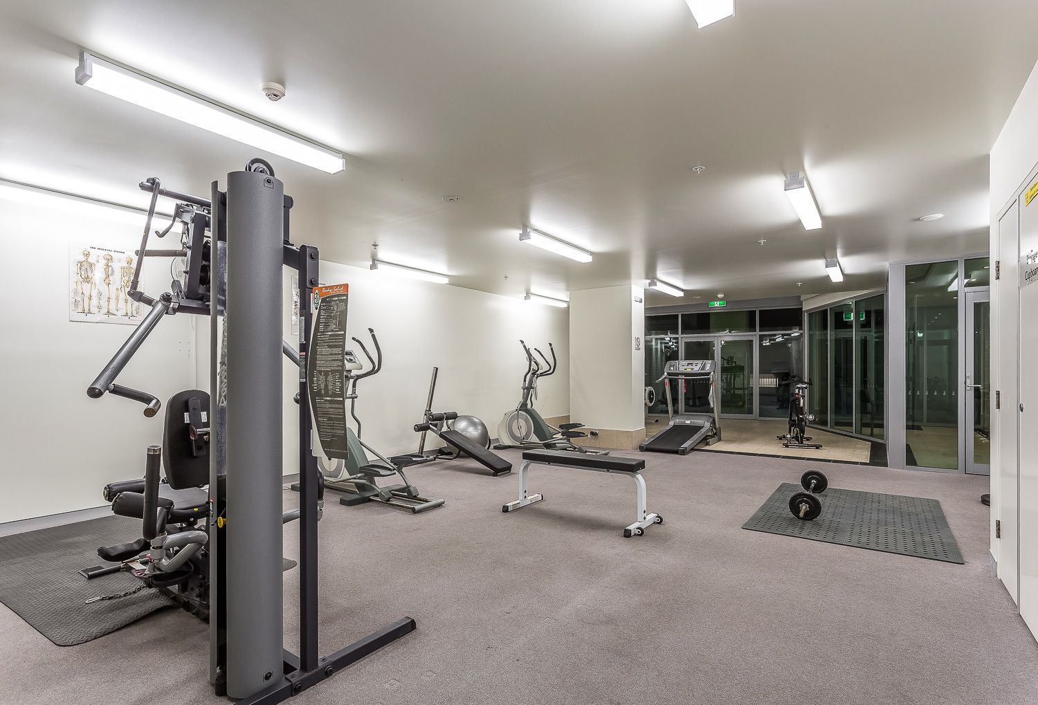 A modern gym with various exercise equipment, including a squat rack, treadmills, and free weights.
