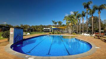 Piscina com água azul cristalina, rodeada por um deck de tijolos e palmeiras.