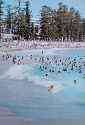 A crowded beach with people swimming and surfing, surrounded by tall trees and buildings in the background. - Boardrider Backpacker & Budget Motel (Manly)