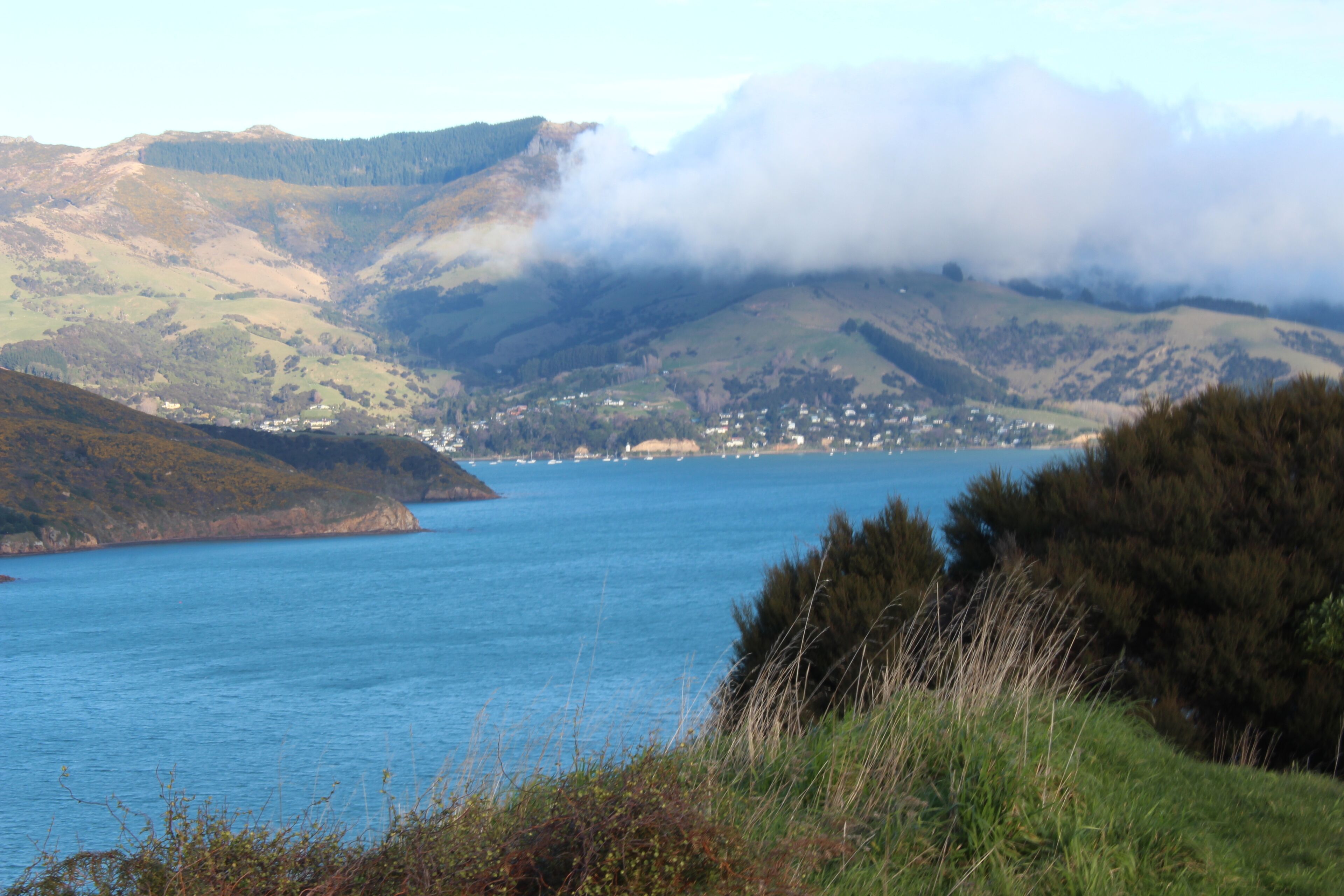 A coastal landscape with a body of water, hills, and a small settlement.