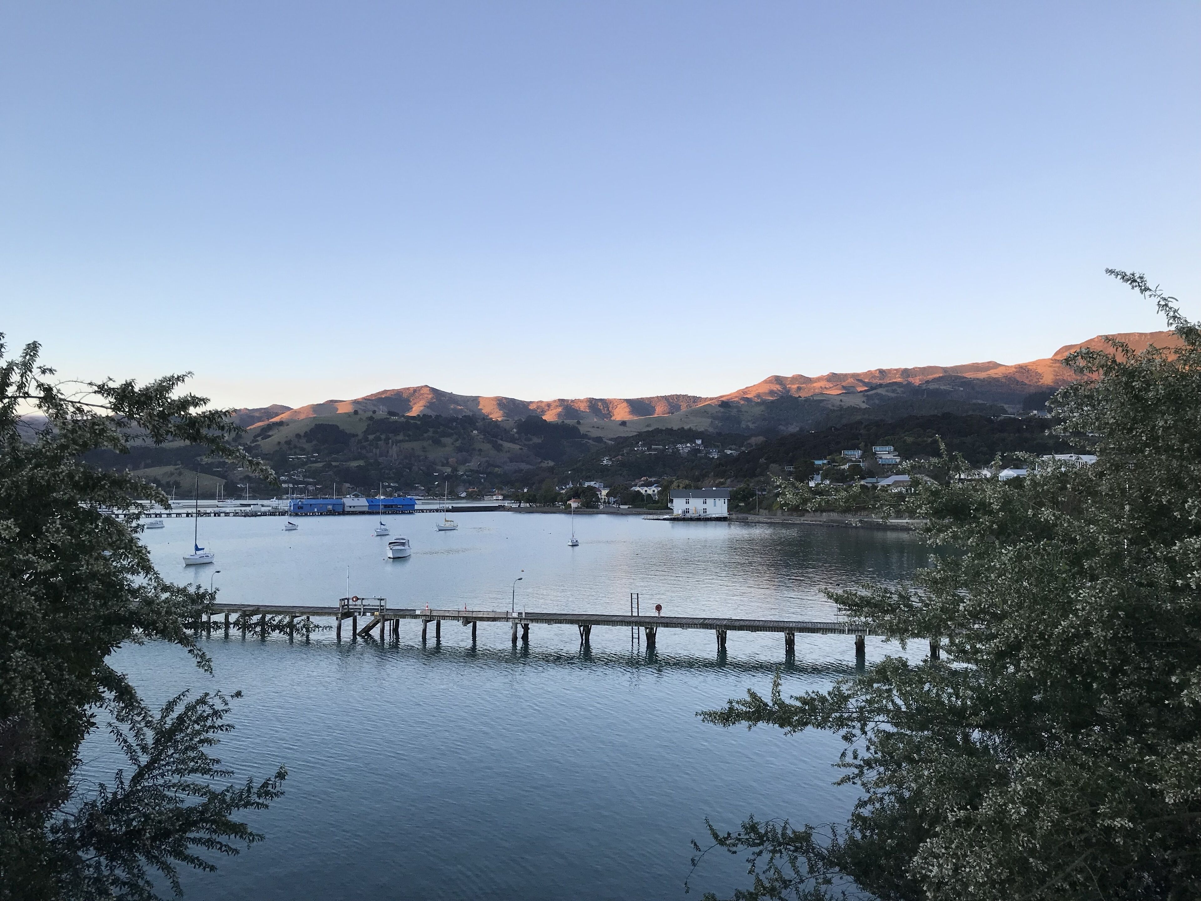 Un puerto deportivo con barcos, un muelle y montañas al fondo.