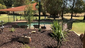 A landscaped outdoor area with a pool, seating, and a fenced enclosure. - Bullanginya Lodge (Barooga)