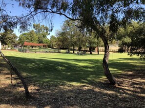 View from property - Bullanginya Lodge (Barooga)