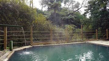 Outdoor pool, a natural pool