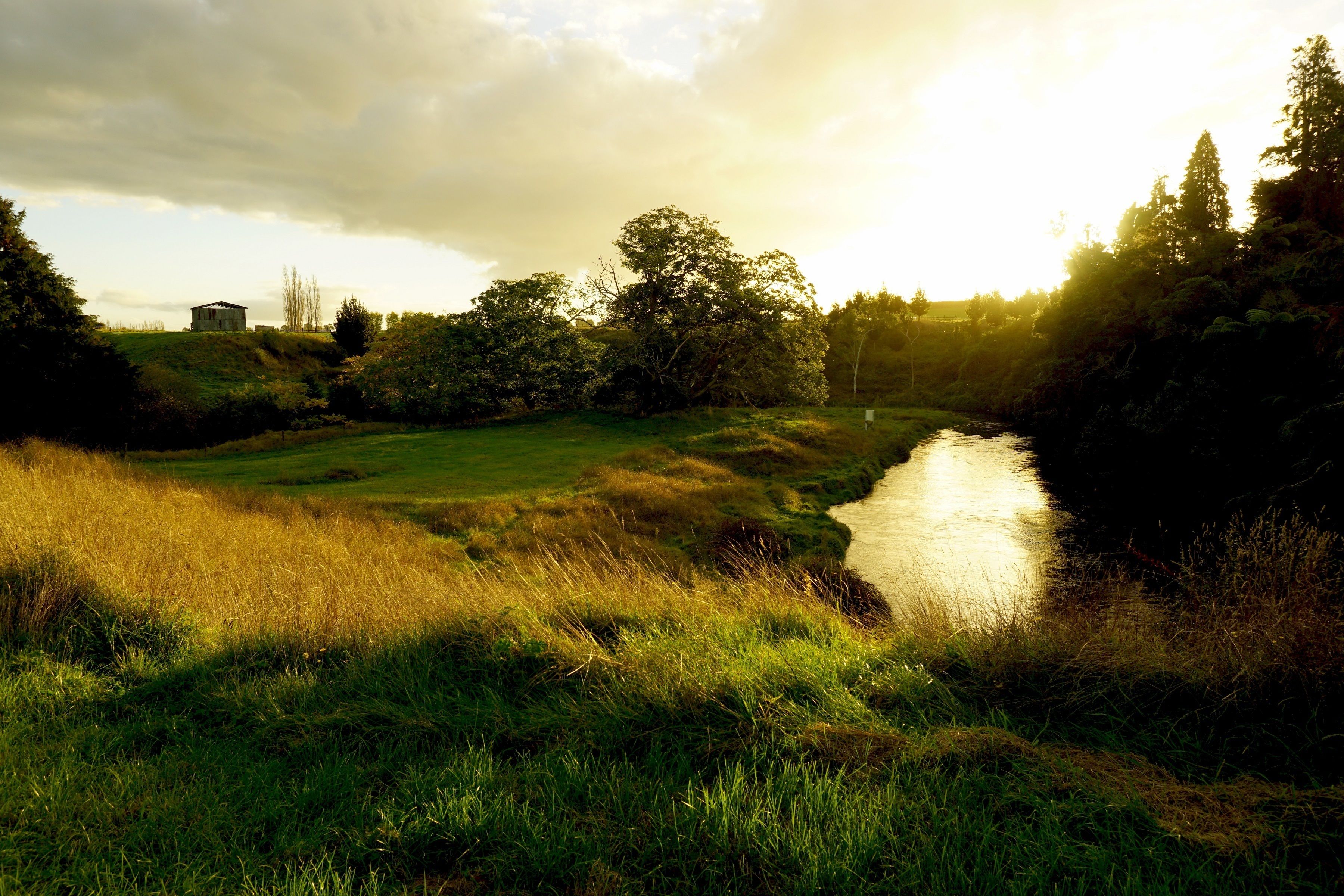 A grassy landscape with a river, trees, and a small building.