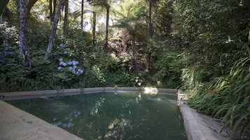Outdoor pool, a natural pool
