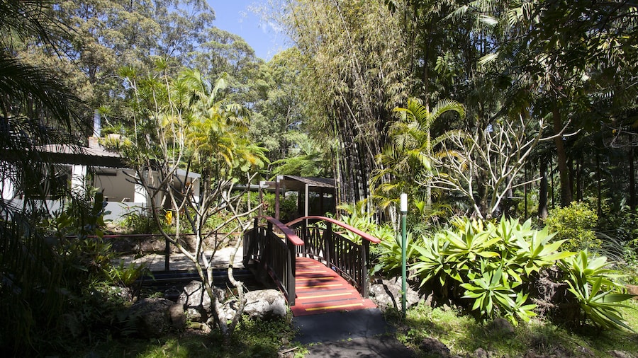Songbirds Rainforest Retreat