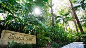 A stone sign with the text "Songbirds Retreat" surrounded by lush greenery and a stone pathway. - Songbirds Rainforest Retreat (Tamborine Mountain)
