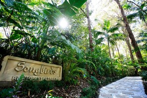 Front of property - Songbirds Rainforest Retreat (Tamborine Mountain)