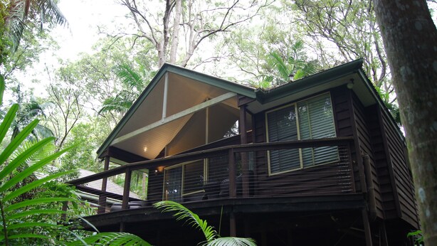 A wooden cabin with a balcony, surrounded by dense forest. - Songbirds Rainforest Retreat (Tamborine Mountain)