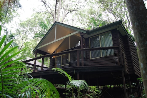 Songbirds Rainforest Retreat