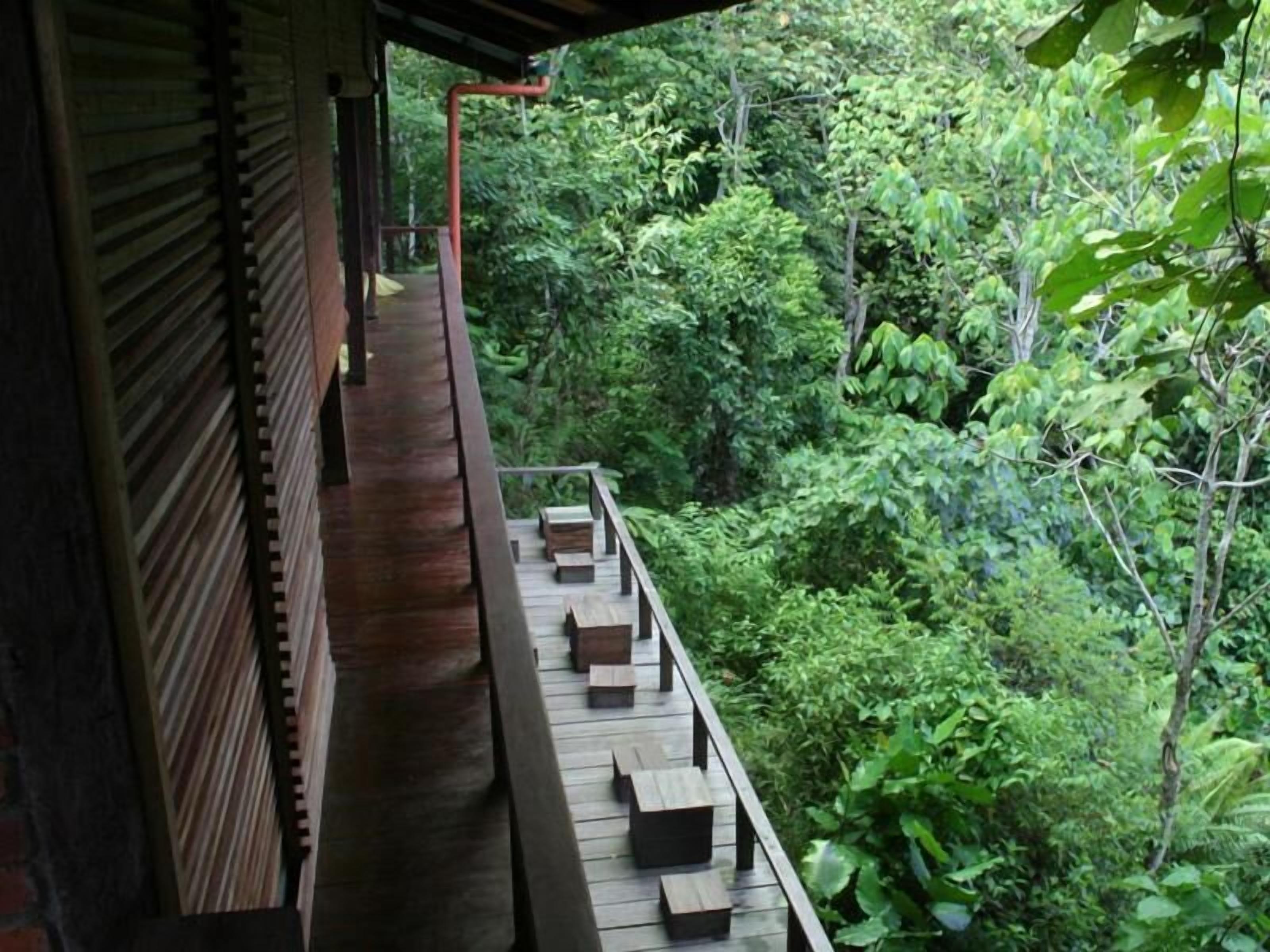 A wooden balcony with steps leading to a platform, surrounded by dense green foliage.