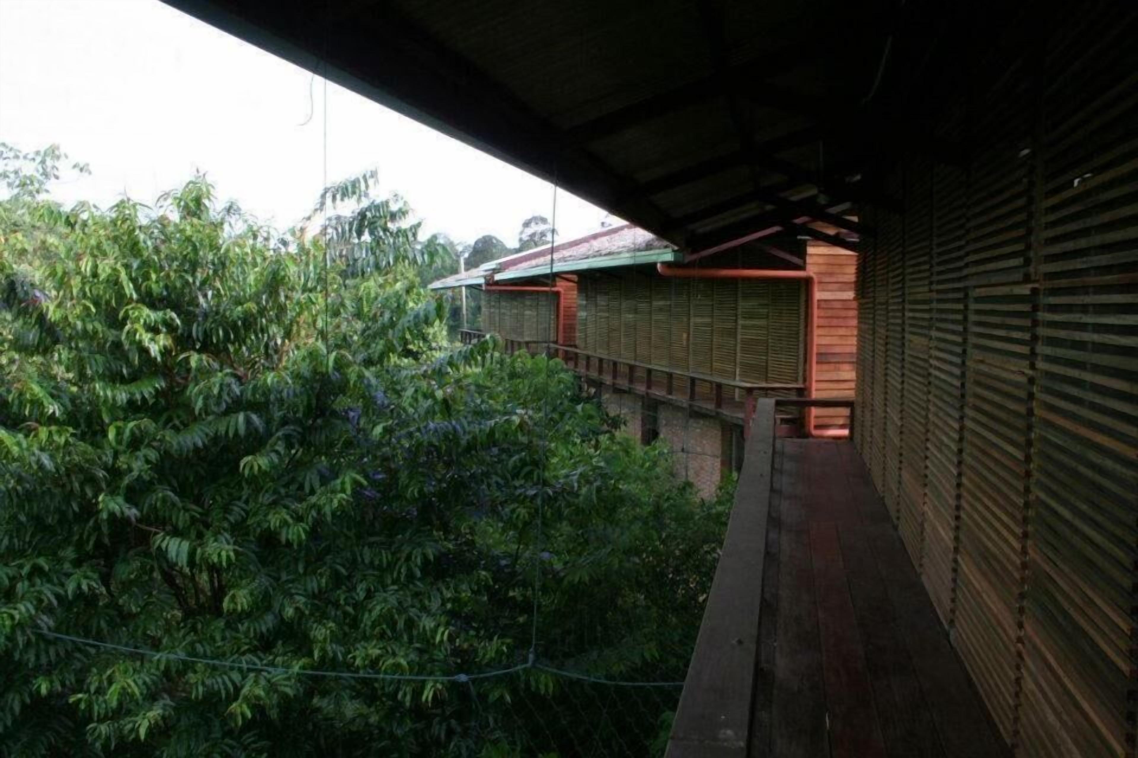A covered outdoor area with a wooden deck, surrounded by dense foliage.