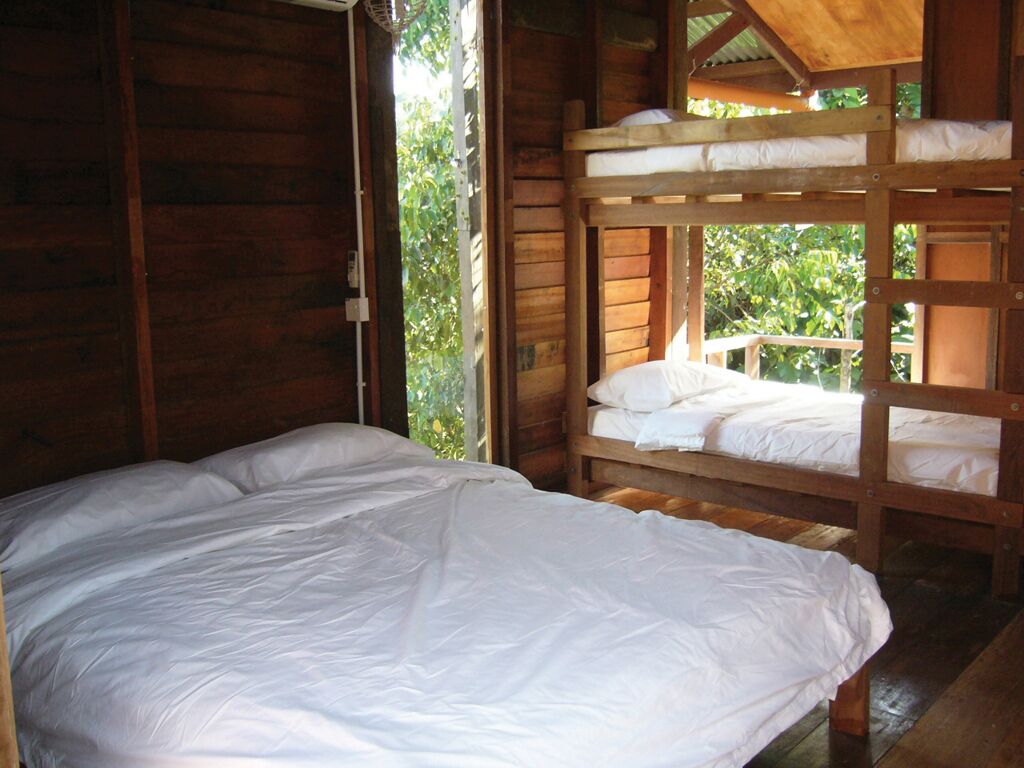 A wooden cabin with a bunk bed and a single bed.