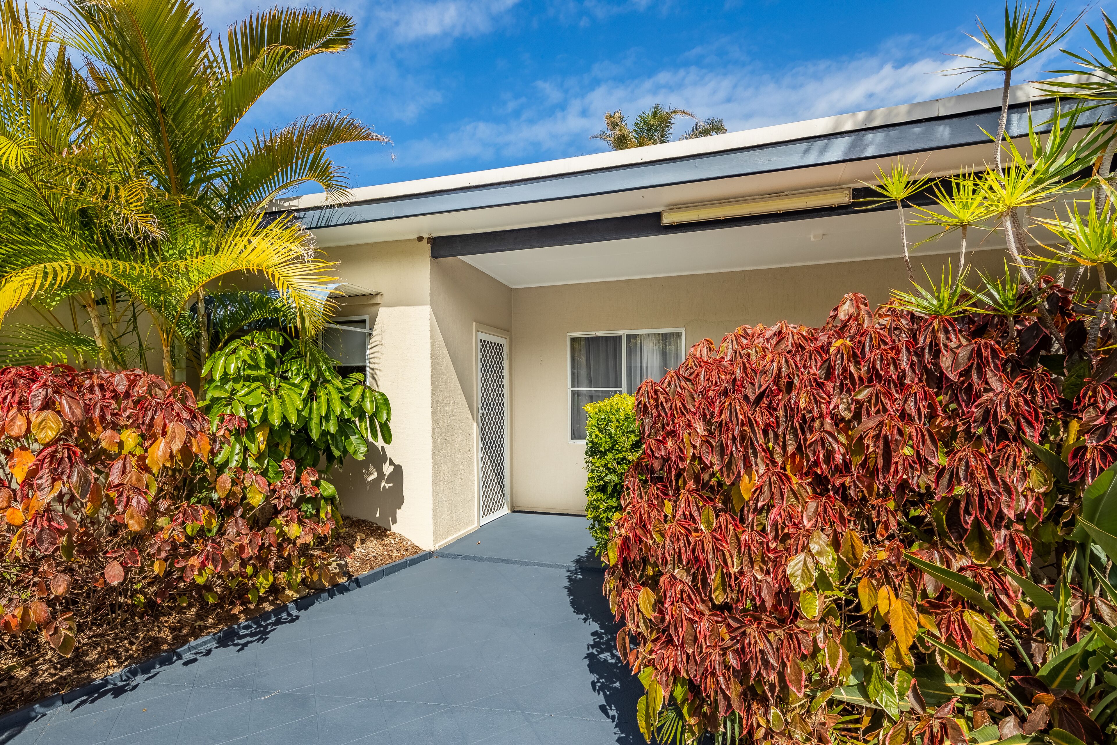 A modern house with a paved driveway, surrounded by tropical plants and a clear blue sky.