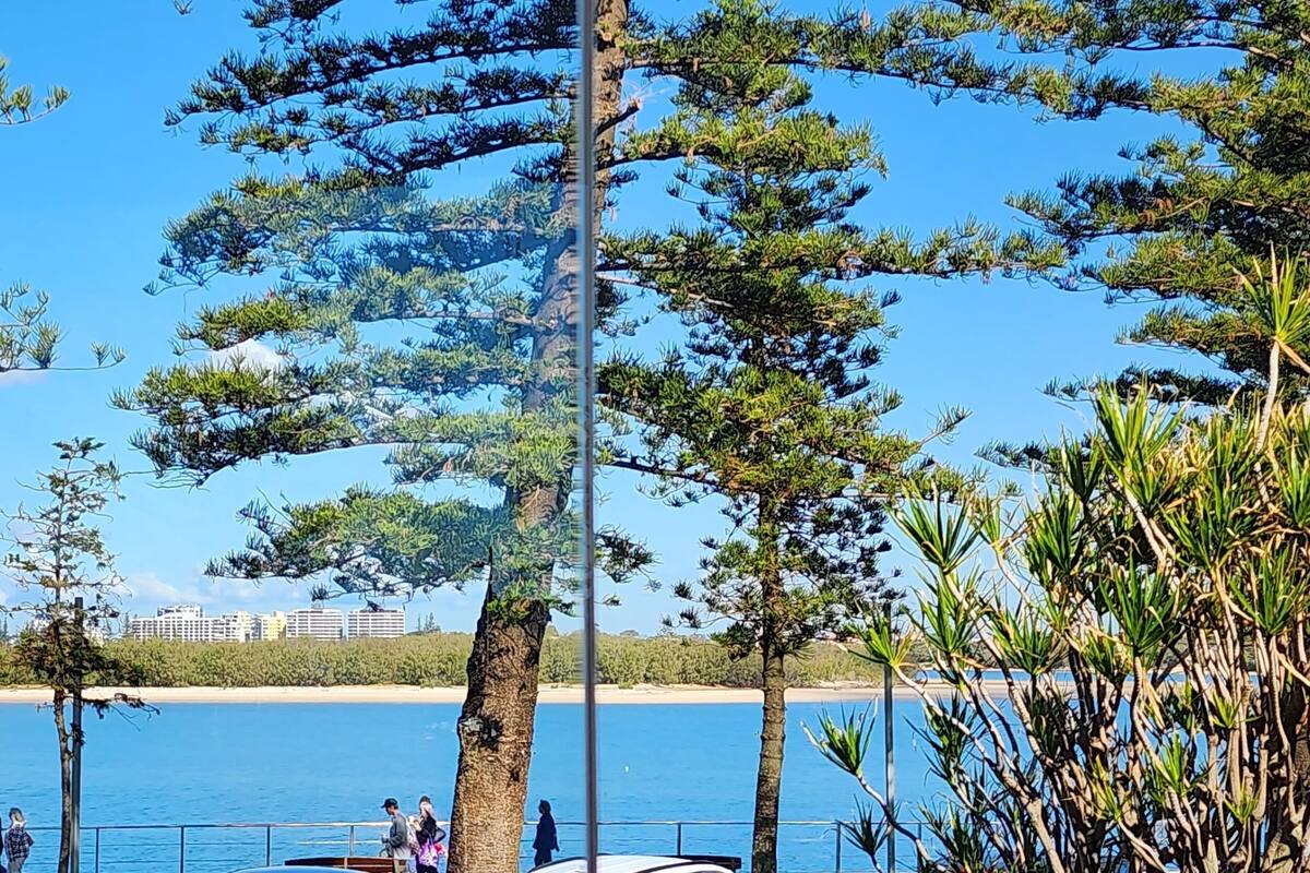 Una zona costera con árboles altos, un cielo azul despejado y vista al mar.