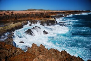 Beach - Discovery Parks - Carnarvon (Kingsford)